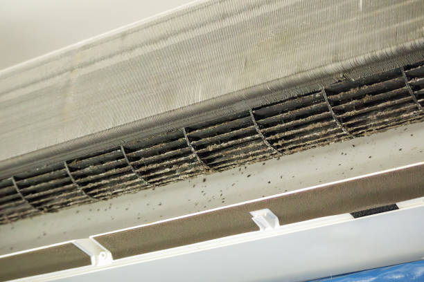 Best Dryer Vent Cleaning Services  in Marmet, WV